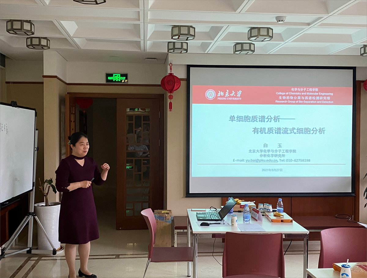 白玉报告.jpg