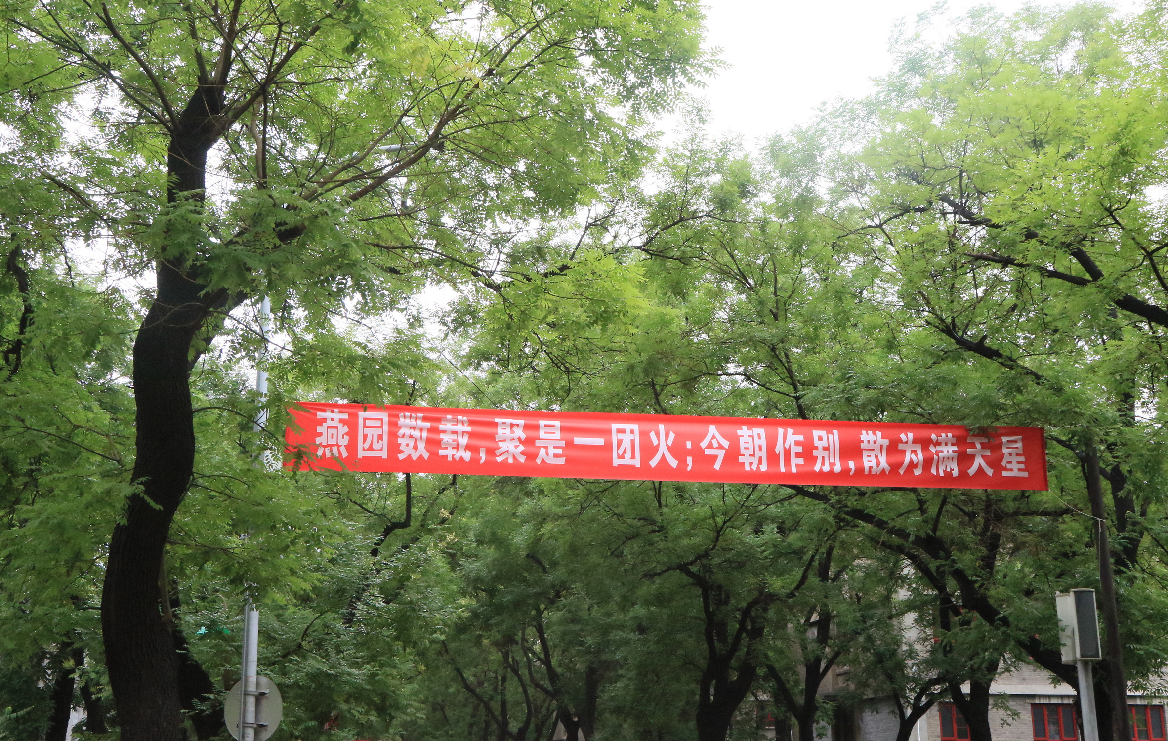 7R1A6673_调整大小.JPG