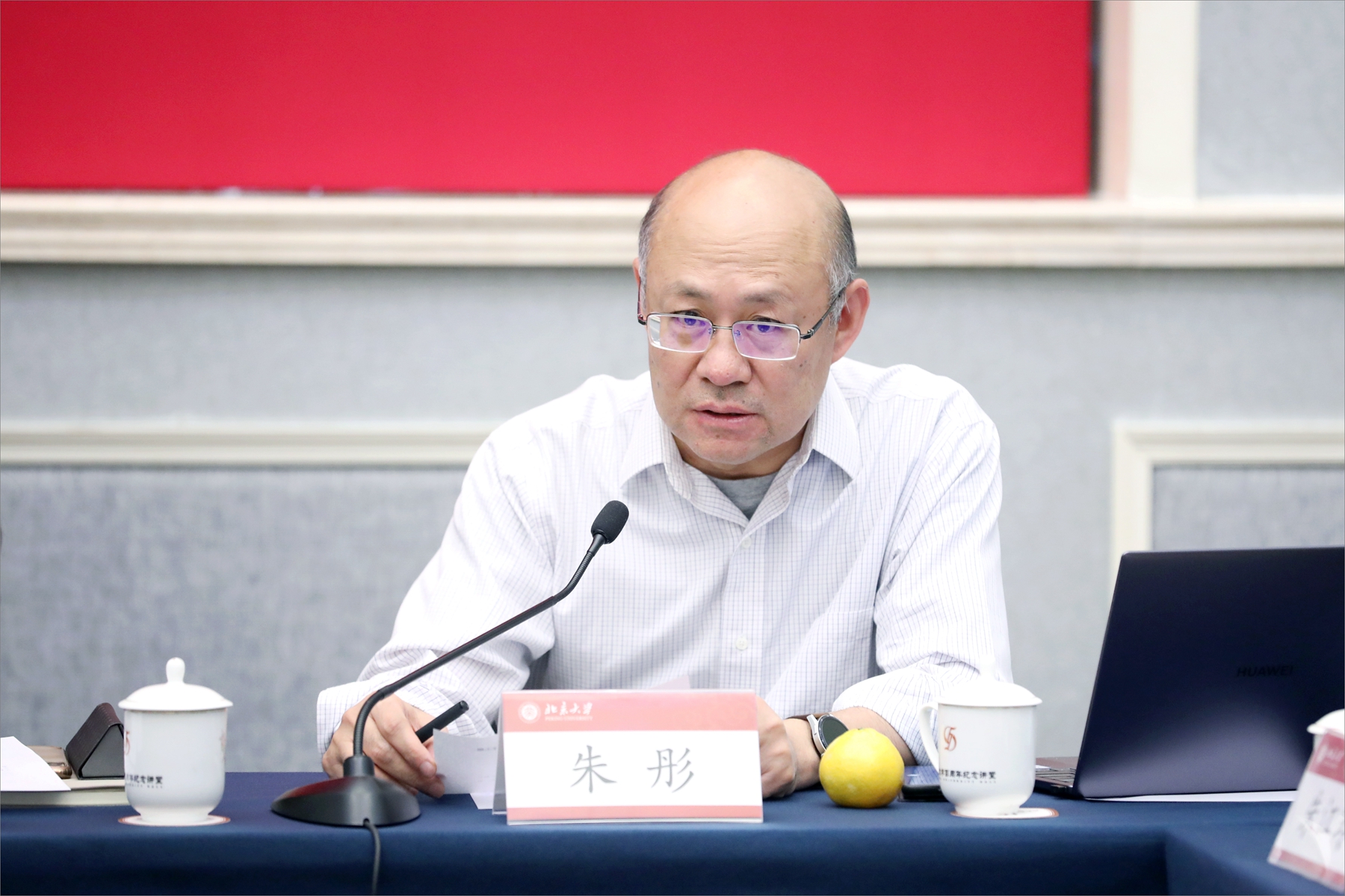 无党派人士朱彤发言.jpg