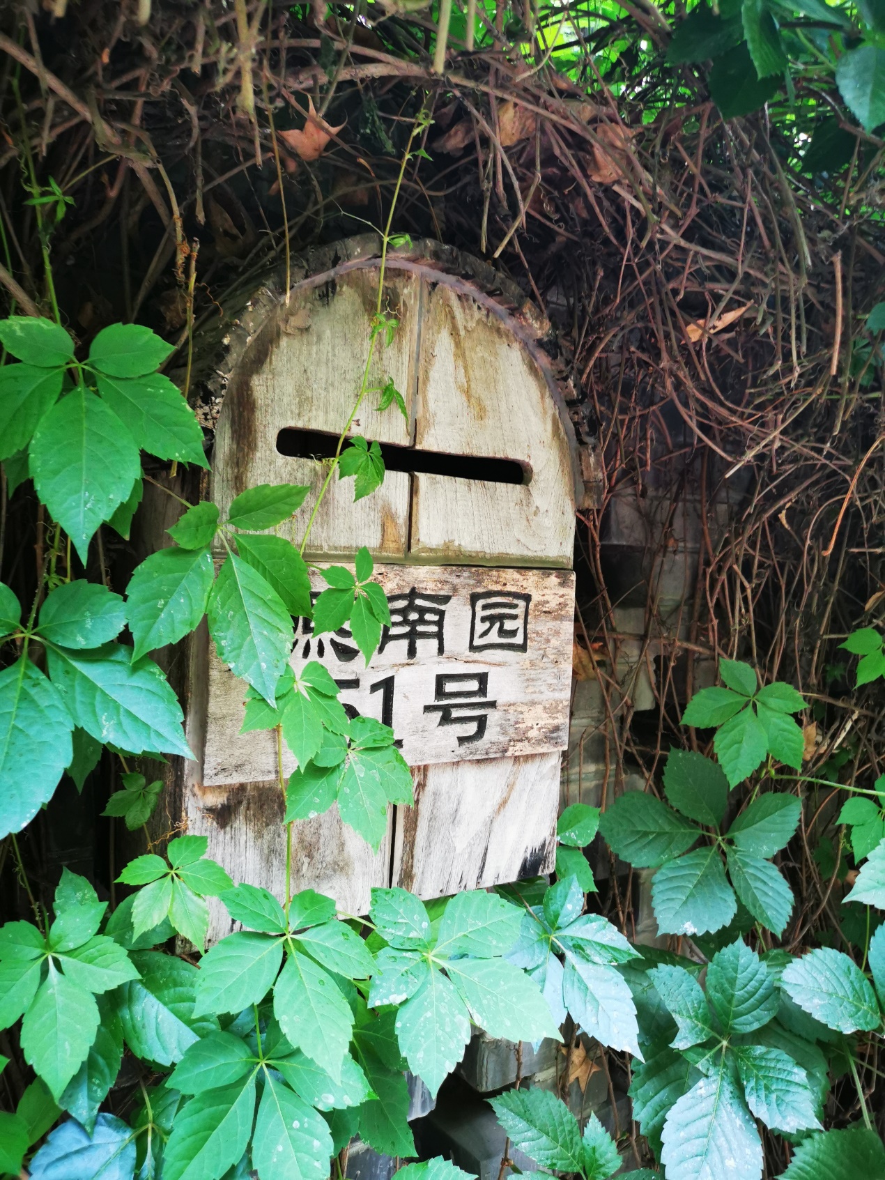 image10.jpeg
