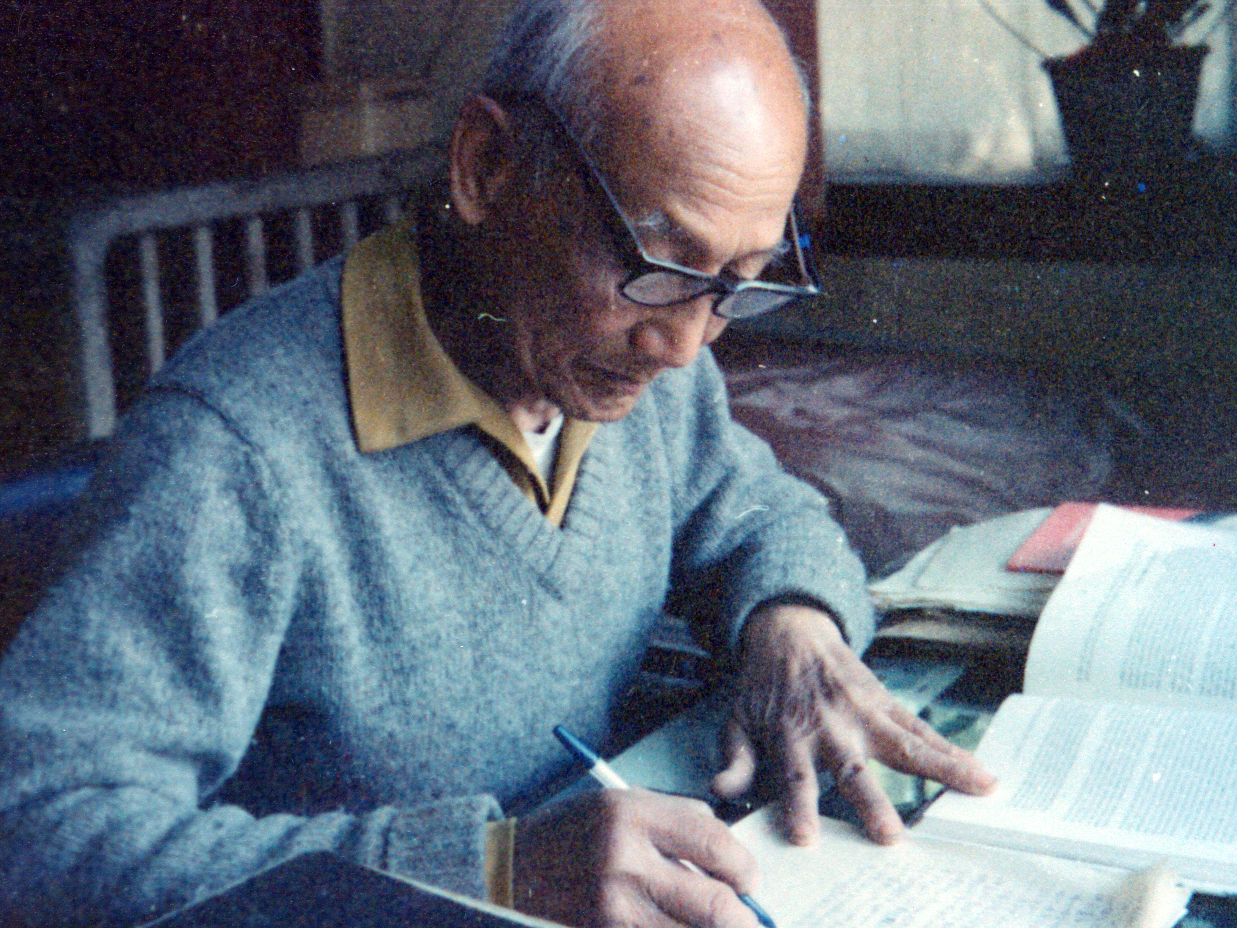 <v:imagedata
